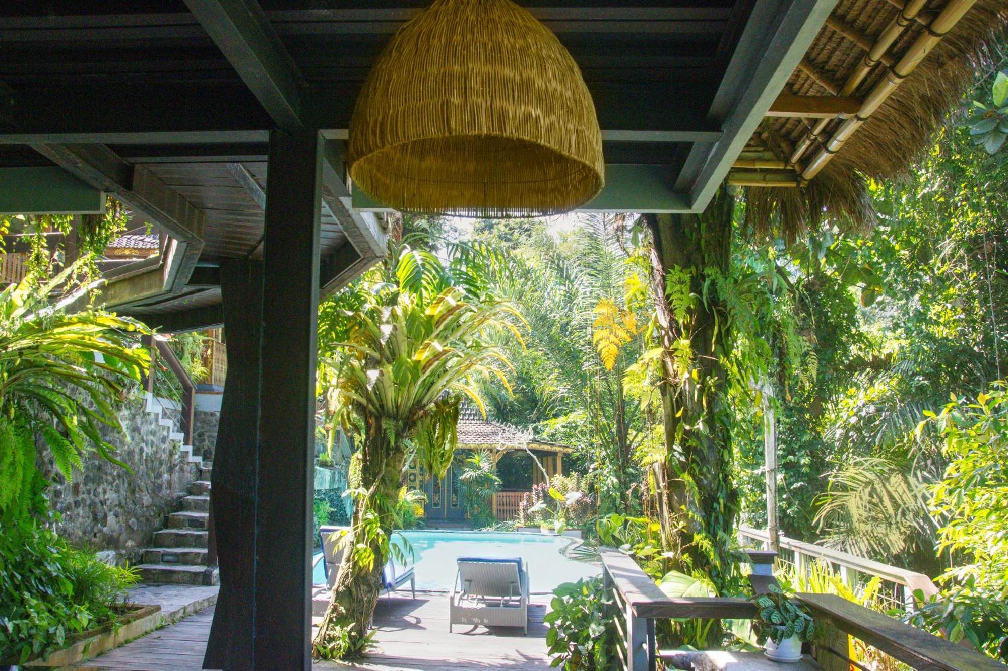 Parvati Retreat Villas Убуд Екстериор снимка
